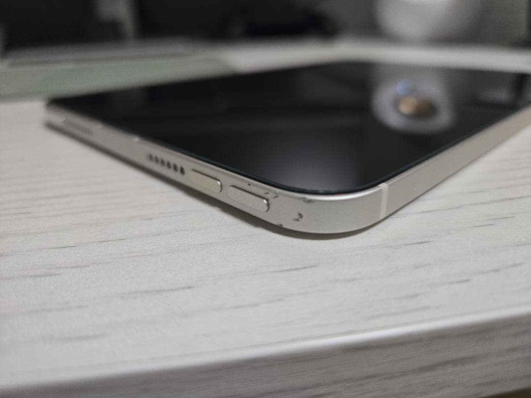 iPad本体 iPad mini A17 Pro Wi-Fi+Cellular 256GB