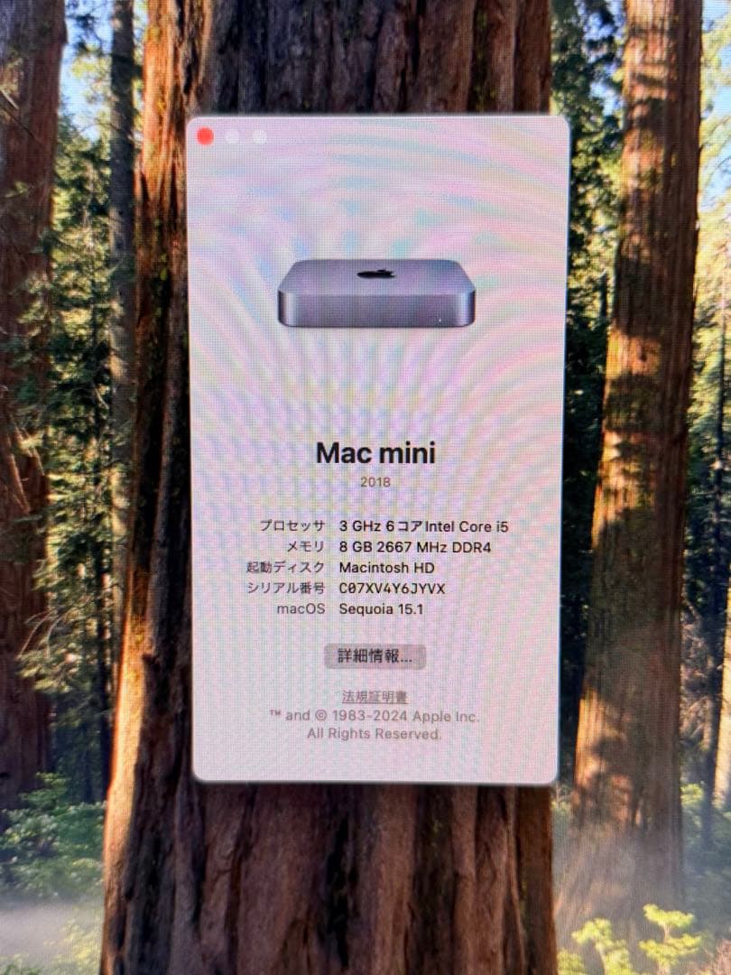 Apple Mac mini スペースグレー 2018