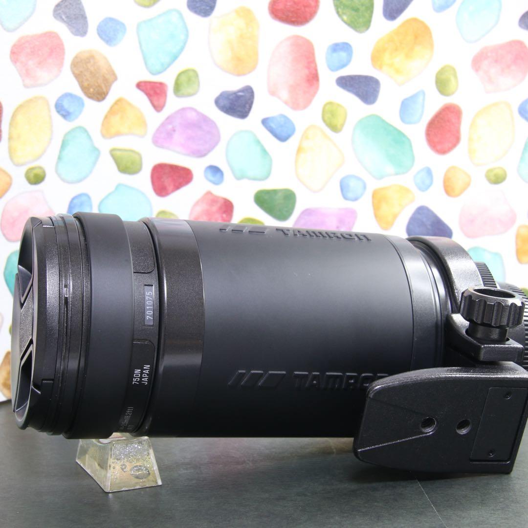 ♥︎◇美品 ◇TAMRON 200-400ｍｍ NIKON 75DN