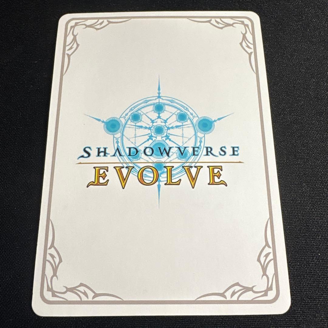 ほーちゃん　リーダー　シャドウバース エボルヴ