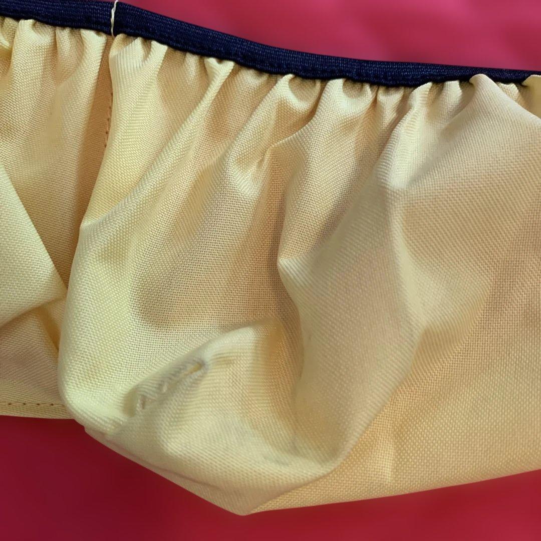 DWE ミッキー ブルーレイメイト★持ち運びバッグ、カーポケット付属