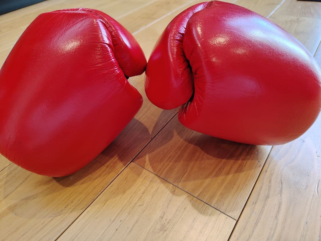 美品！レイジェス　グローブ　10オンス　レッド　赤　新品イサミ　ハーネス付き