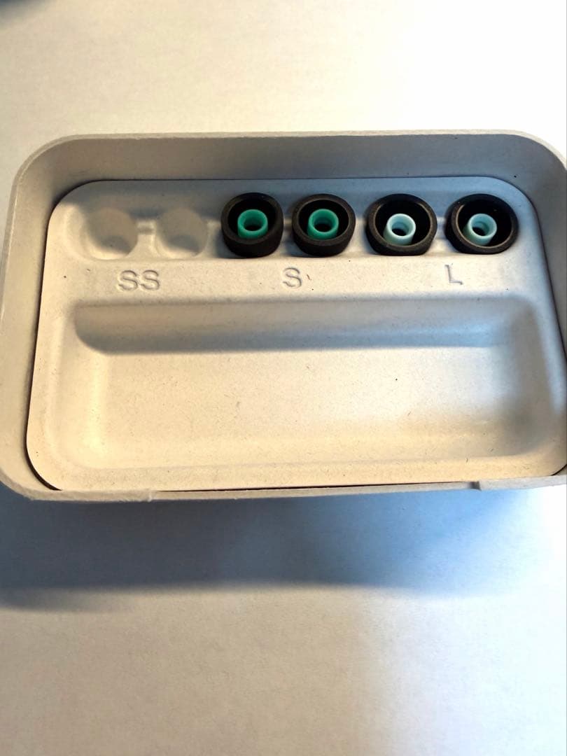 イヤホン SONY WF-1000XM5