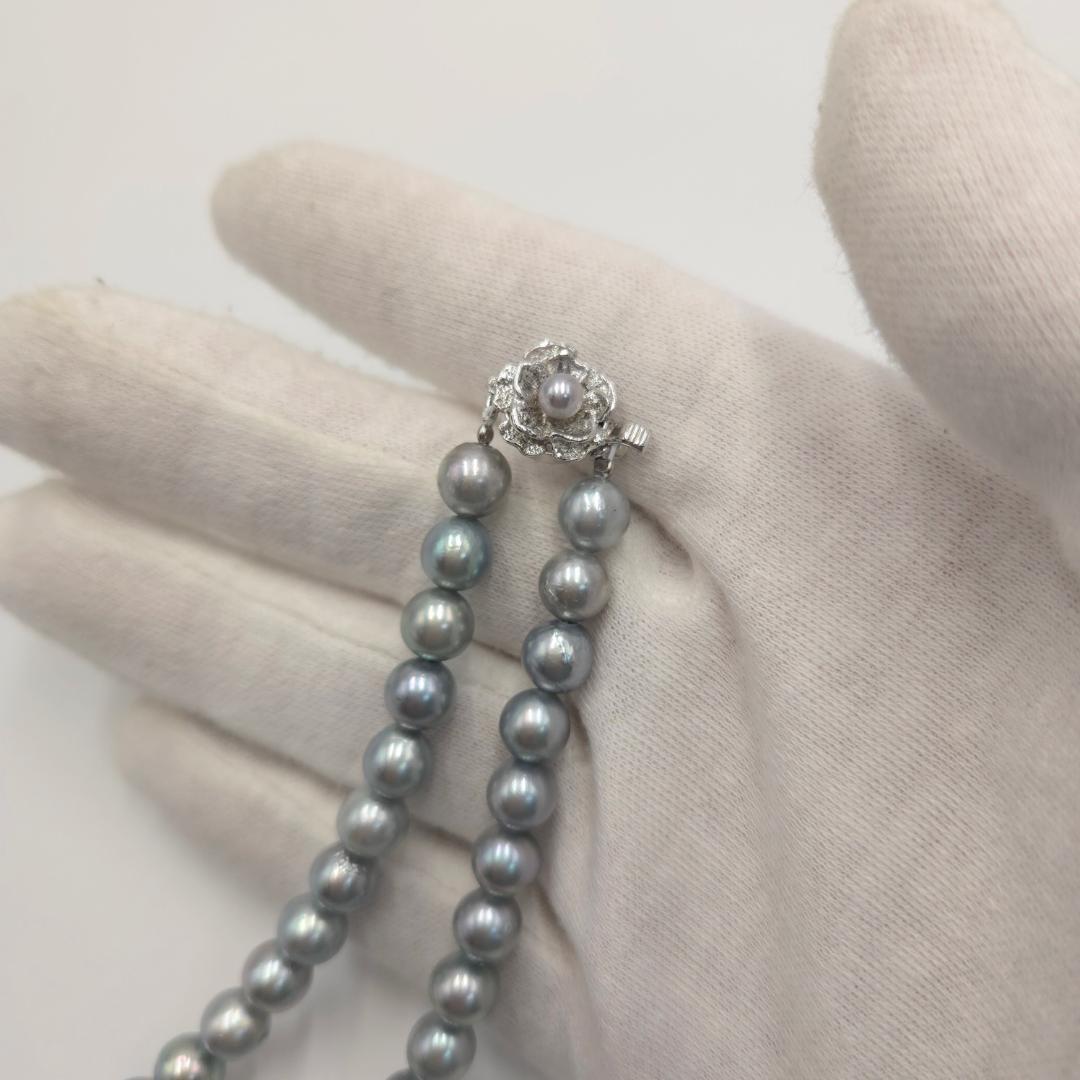 アコヤ あこやパール 本真珠 ネックレス akoya 希少カラー 8.0mm