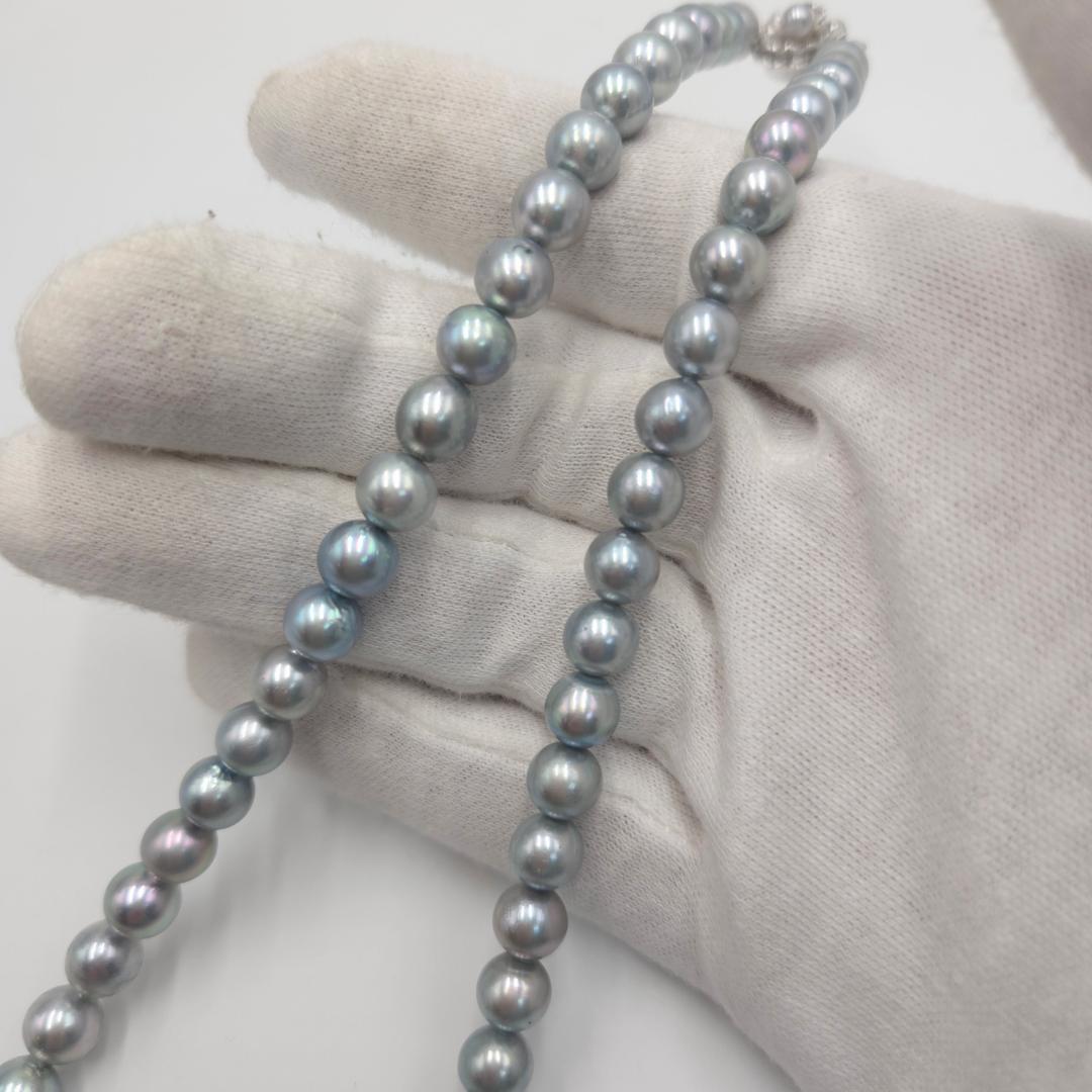 アコヤ あこやパール 本真珠 ネックレス akoya 希少カラー 8.0mm