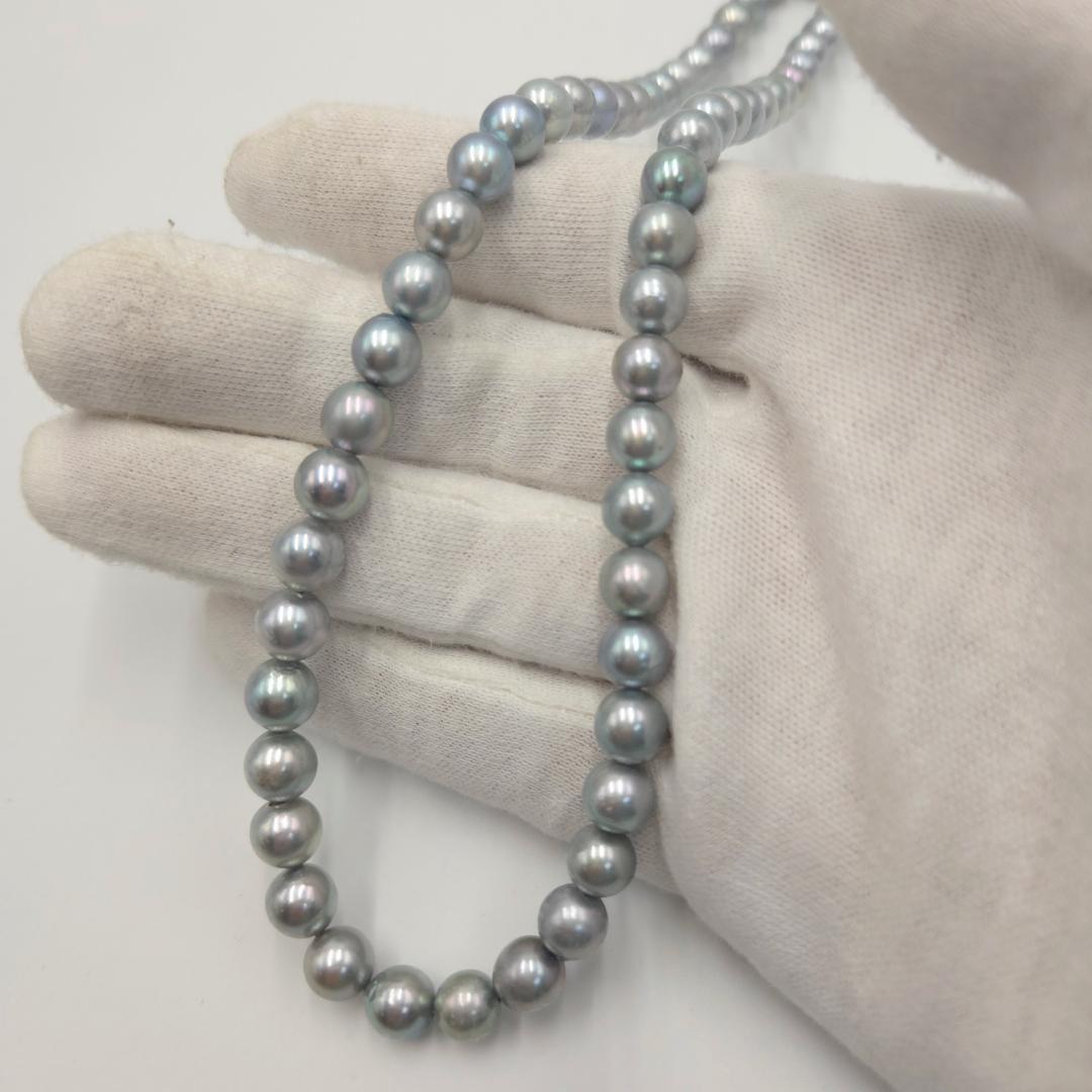 アコヤ あこやパール 本真珠 ネックレス akoya 希少カラー 8.0mm
