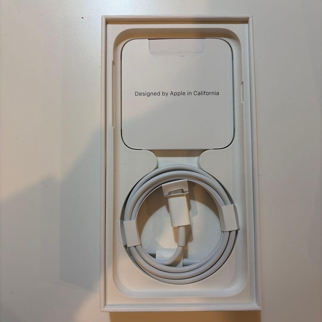 Apple iPhone SE (第2世代) 本体＋イヤホン＋箱　ブラック(黒)