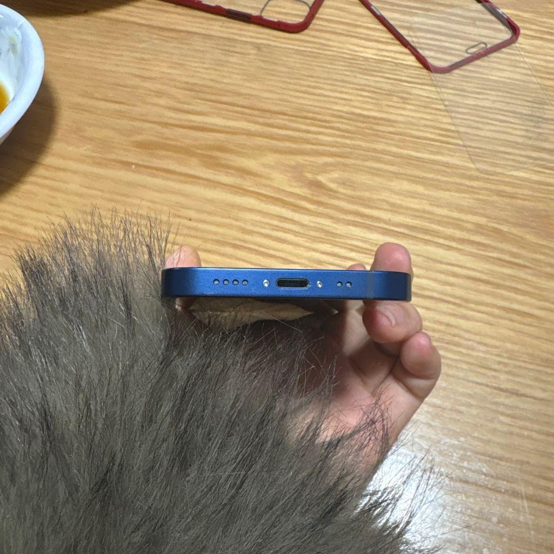 iPhone12miniケース付き64GB