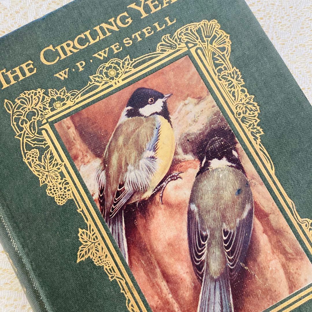 希少　イギリスのアンティーク動植物図鑑　鮮やかで美しいイラスト♡　洋書・古書