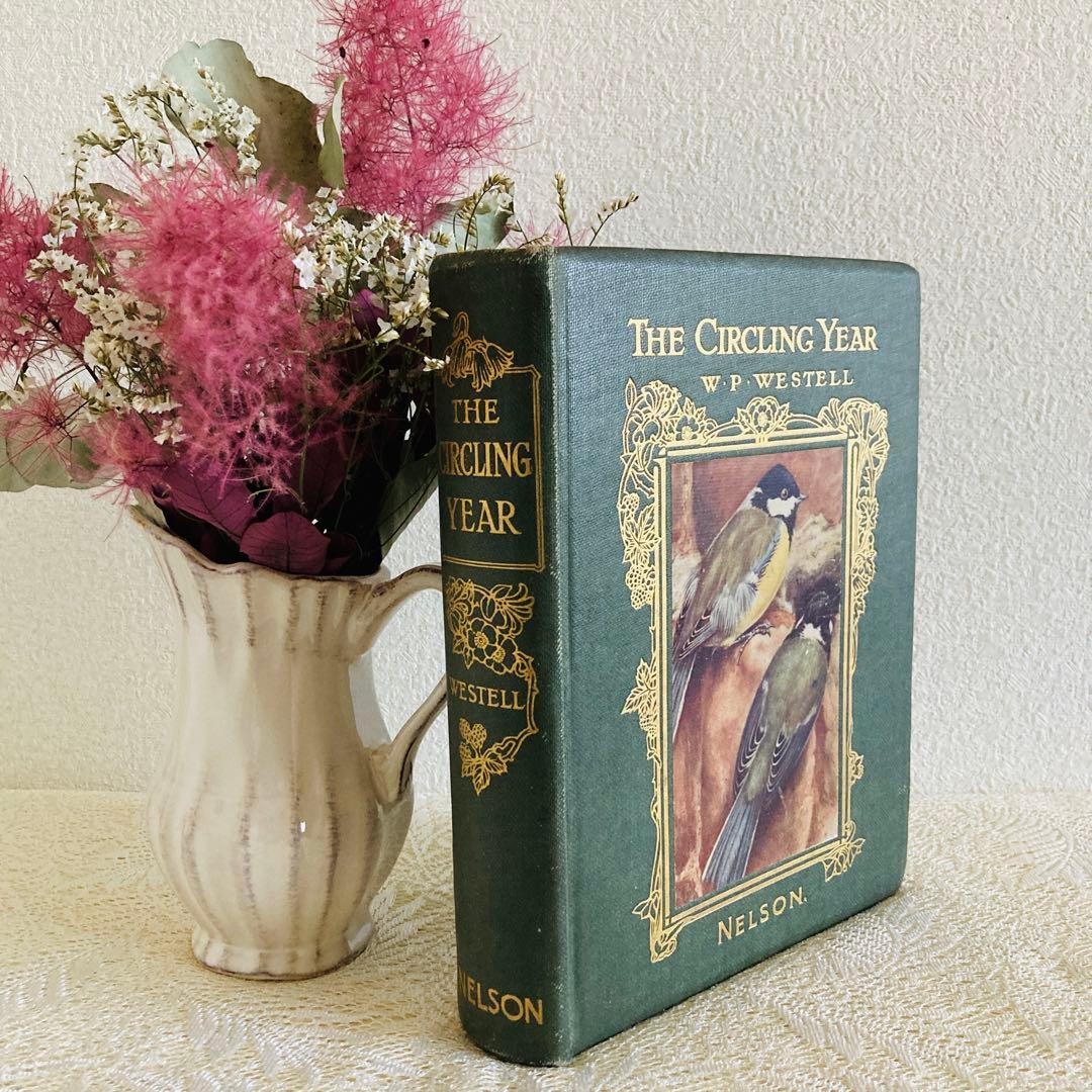 希少　イギリスのアンティーク動植物図鑑　鮮やかで美しいイラスト♡　洋書・古書