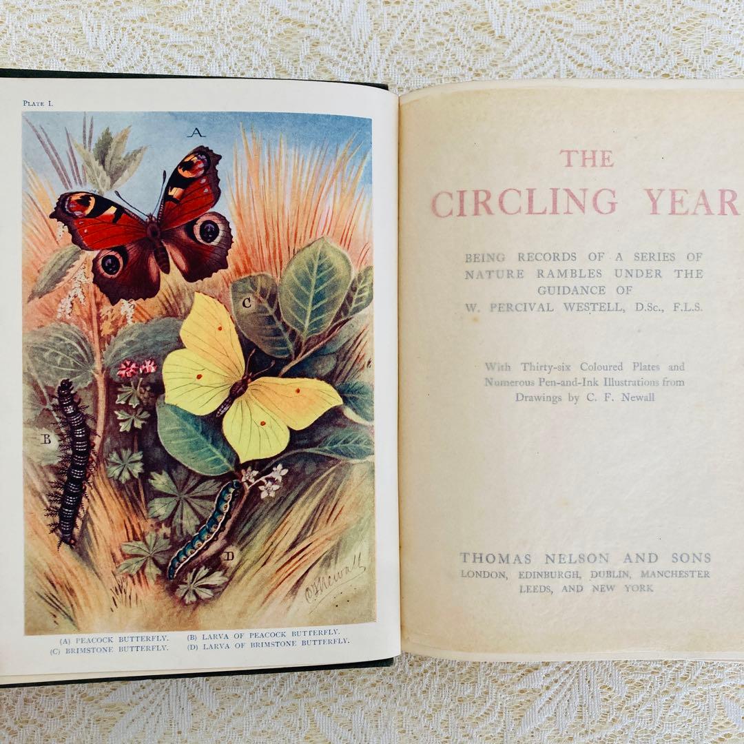 希少　イギリスのアンティーク動植物図鑑　鮮やかで美しいイラスト♡　洋書・古書