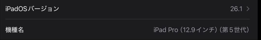 極美品 iPadpro12.9インチ第5世代 128GB アップルペンシル付き