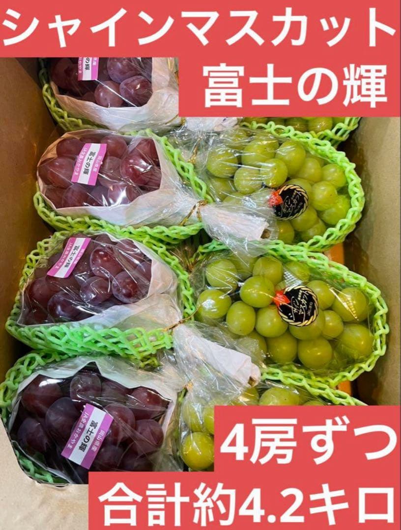 ②【島根県産】 シャインマスカット4房 【岡山県産】 富士の輝　4房