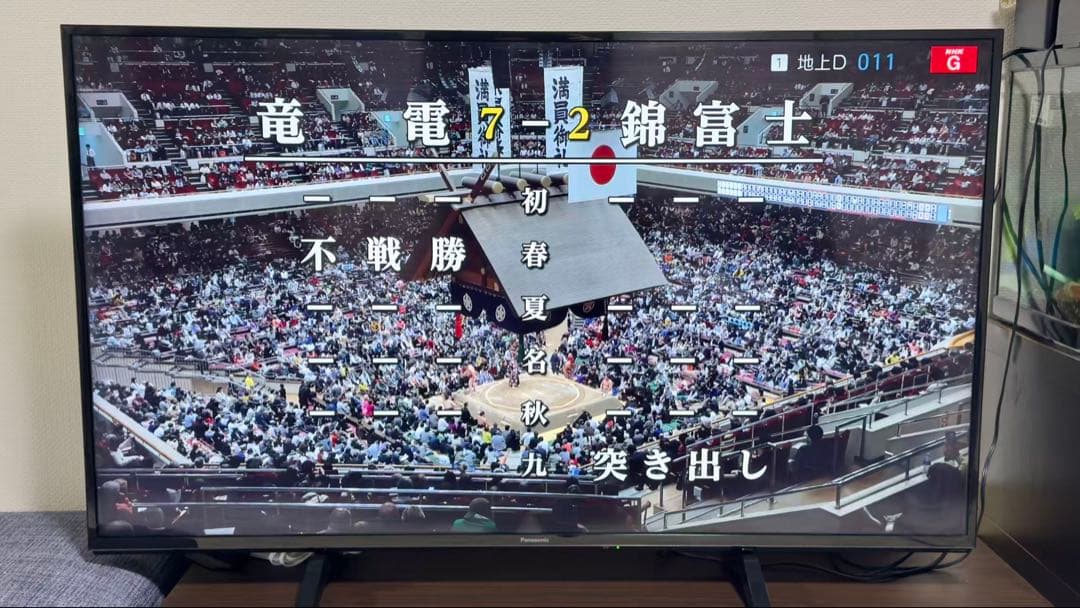 パナソニック49V型 液晶テレビ ビエラ TH-49FX600 4K