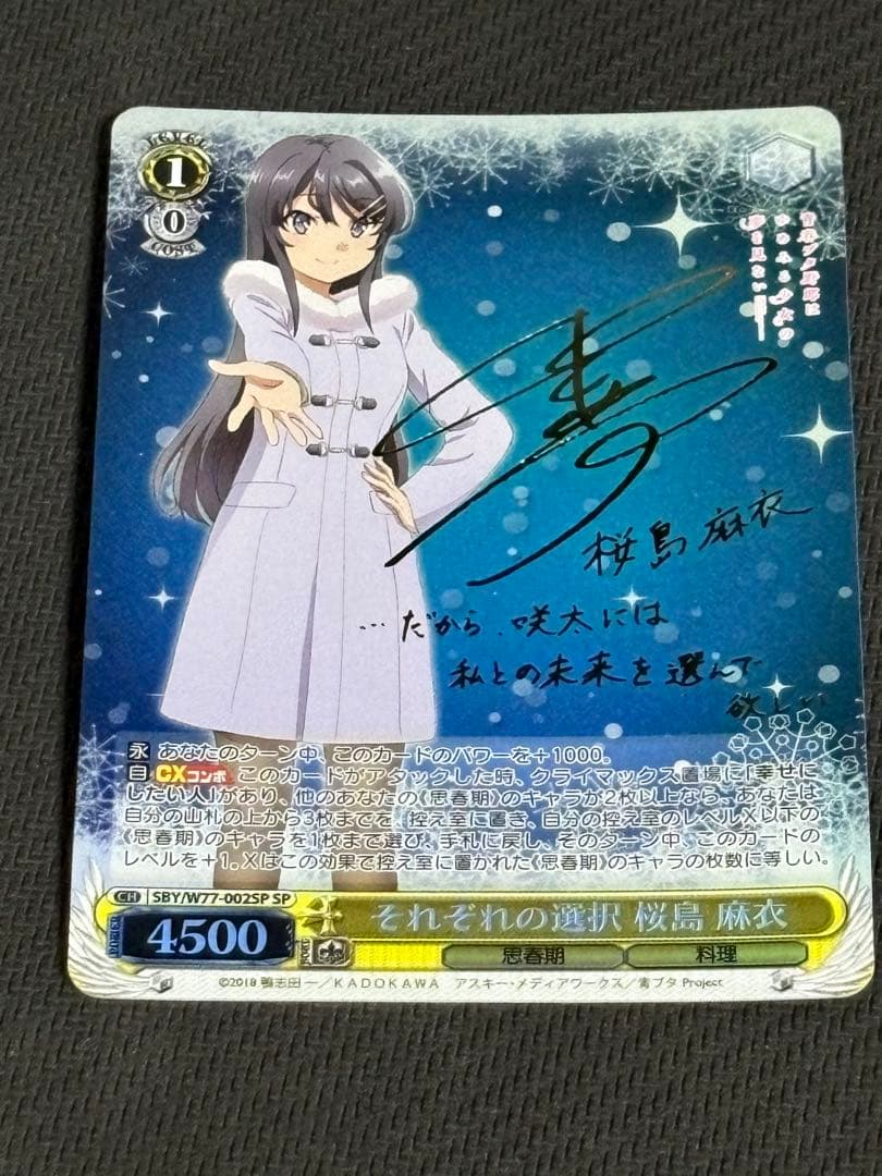 それぞれの選択桜島麻衣SP