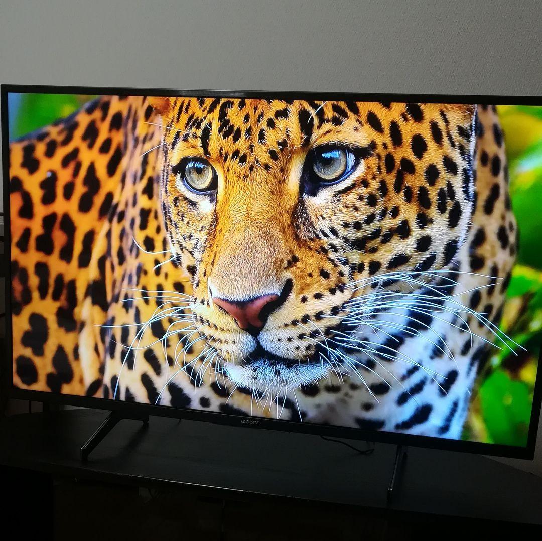 【tamaphiさん専用】Android TV／4Kチューナー内蔵　液晶テレビ