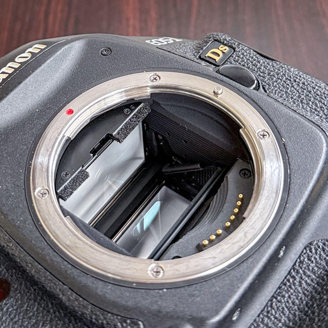 Canon EOS 1Ds mark Ⅲ フルセット