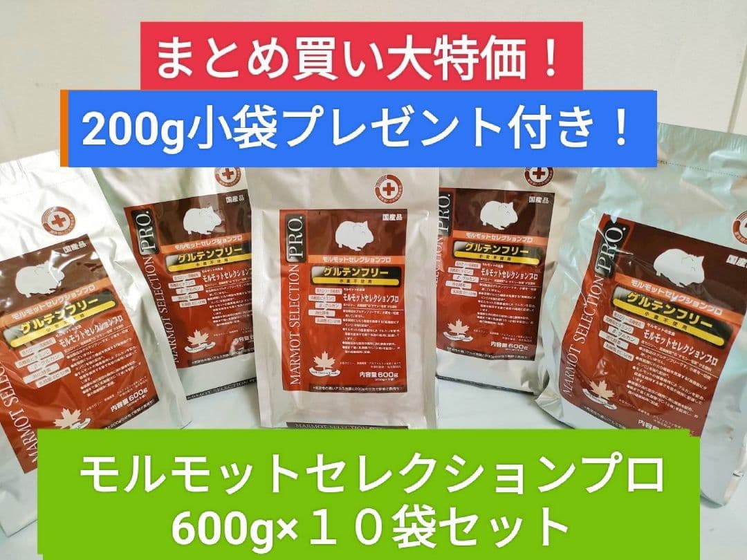 【まとめ買い大特価】モルモットセレクションプロ600g ×10袋セット