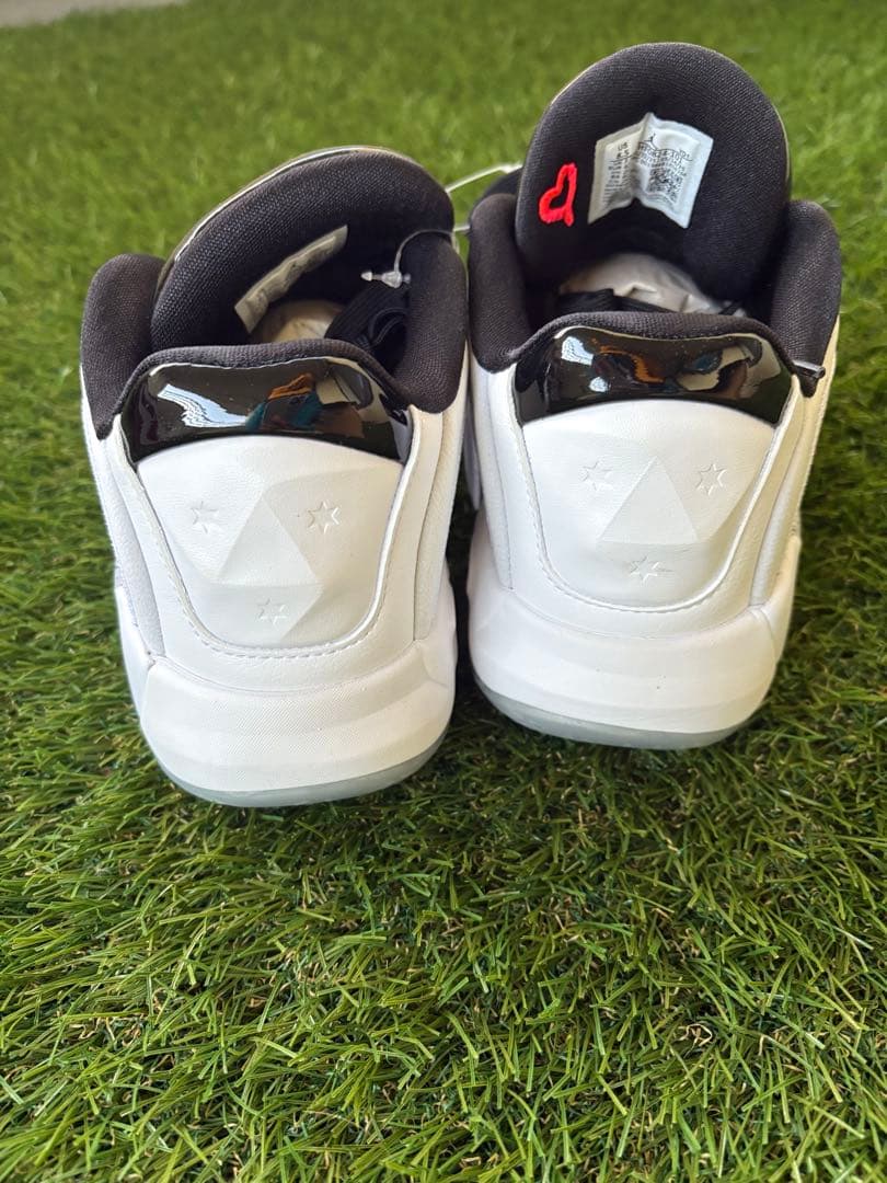 ジョーダン ルカ 4 PF \"White Cement