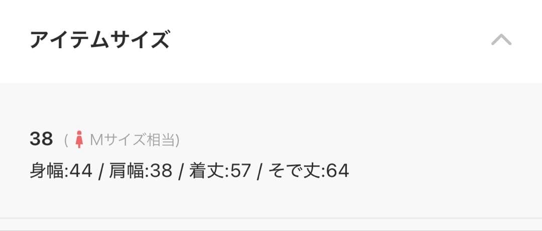 NOLLEY'S sophi ウォッシャブルラッセルレースTブラウス