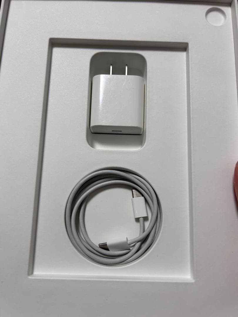 iPadAir第4世代 +Applepencil(刑法)