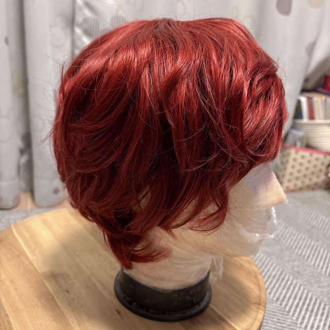 ウィッグ付き クロエ(魔法使いの約束) まほやく