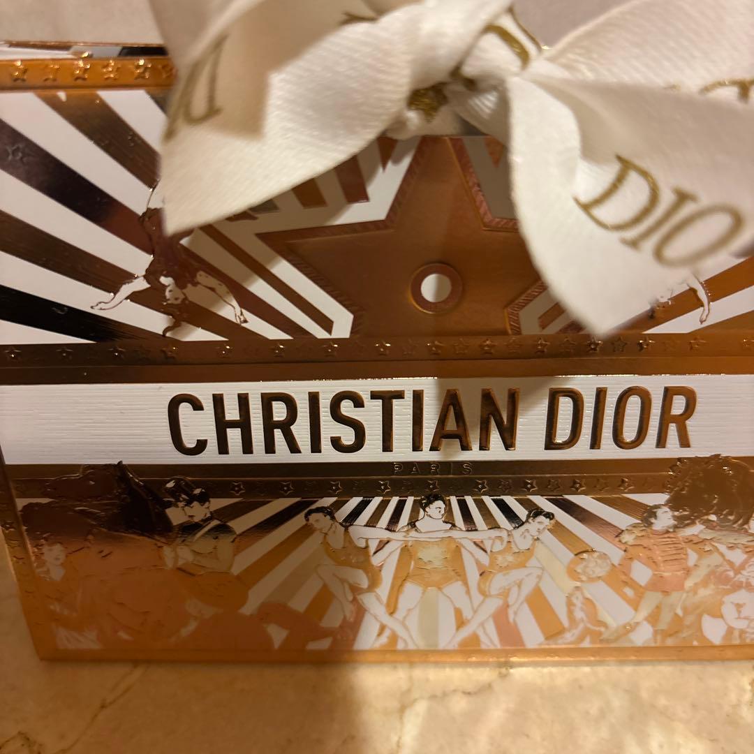 未使用ディオールルージュディオール010ギフトバッグ付き