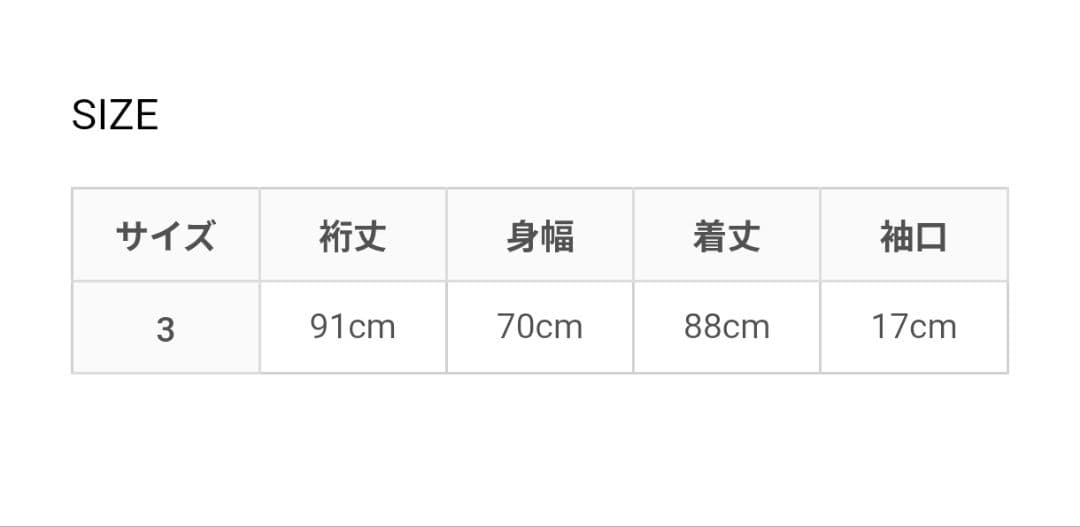 極美品【POLYPLOID ポリプロイド】 P-COAT B / サイズ3