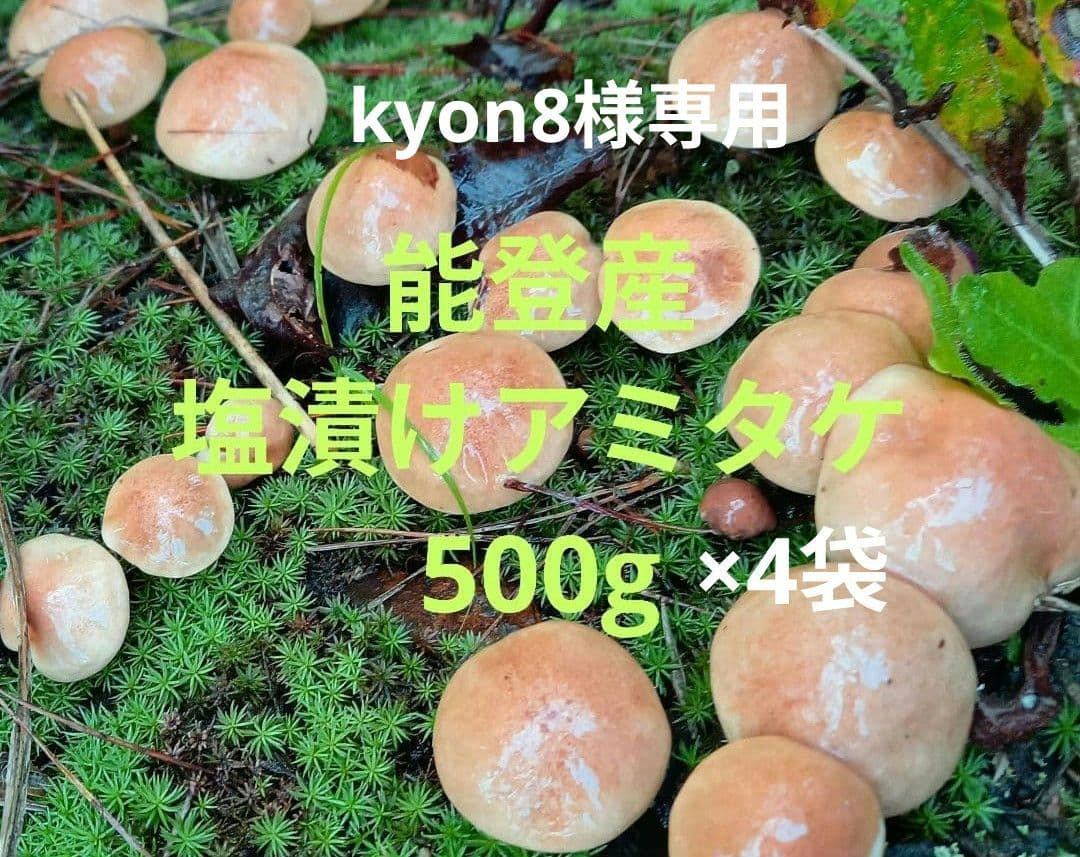 【kyon8】塩漬けアミタケ2kg＊能登産