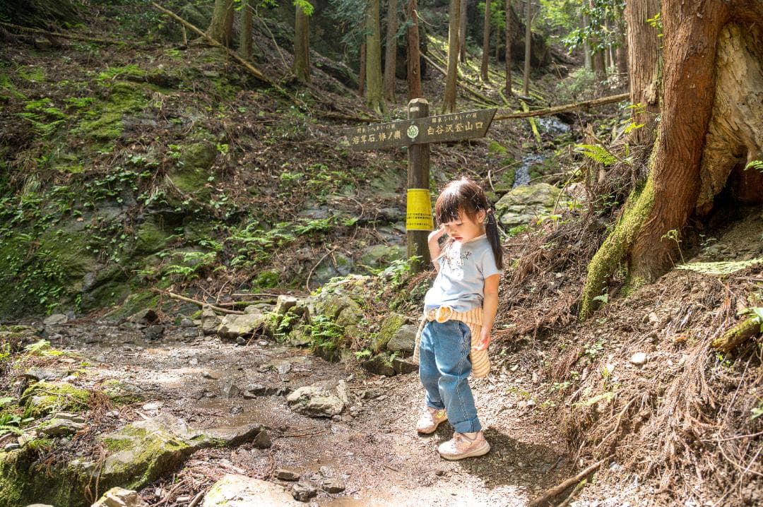 NIKKOR Z 24-120mm F4 S新品同様