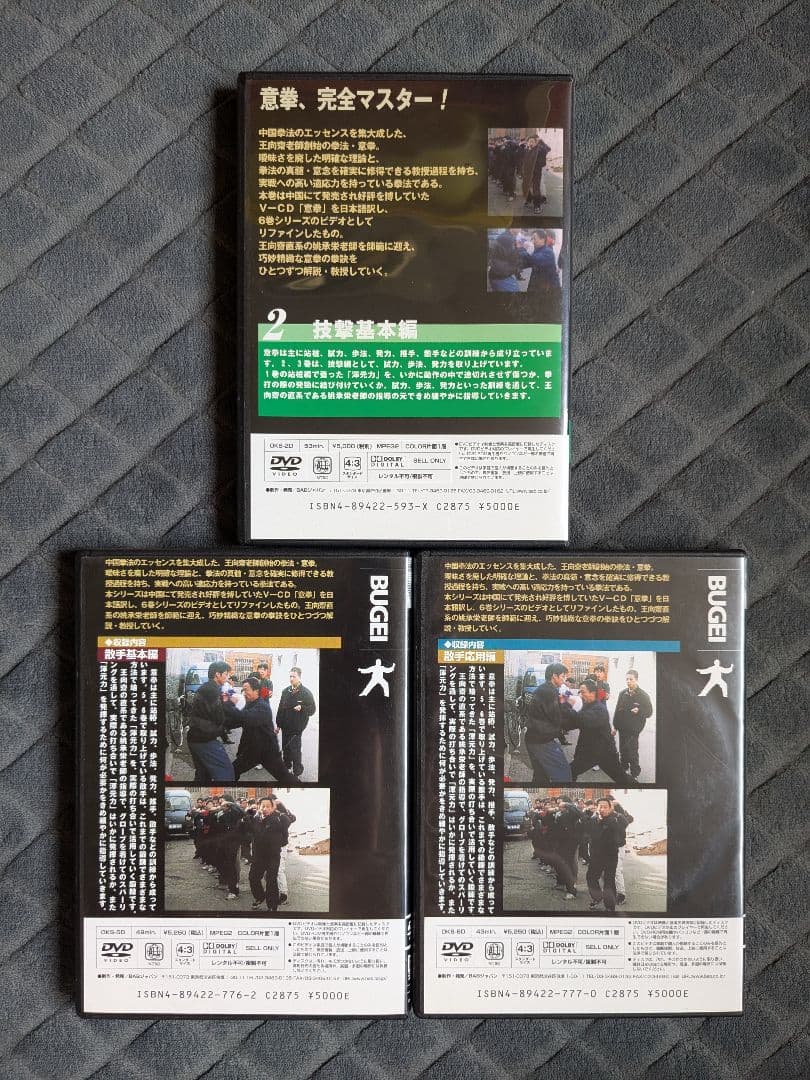 王向齋直系 姚承栄老師 意拳 六大秘訣 DVD 3本セット 中国武術