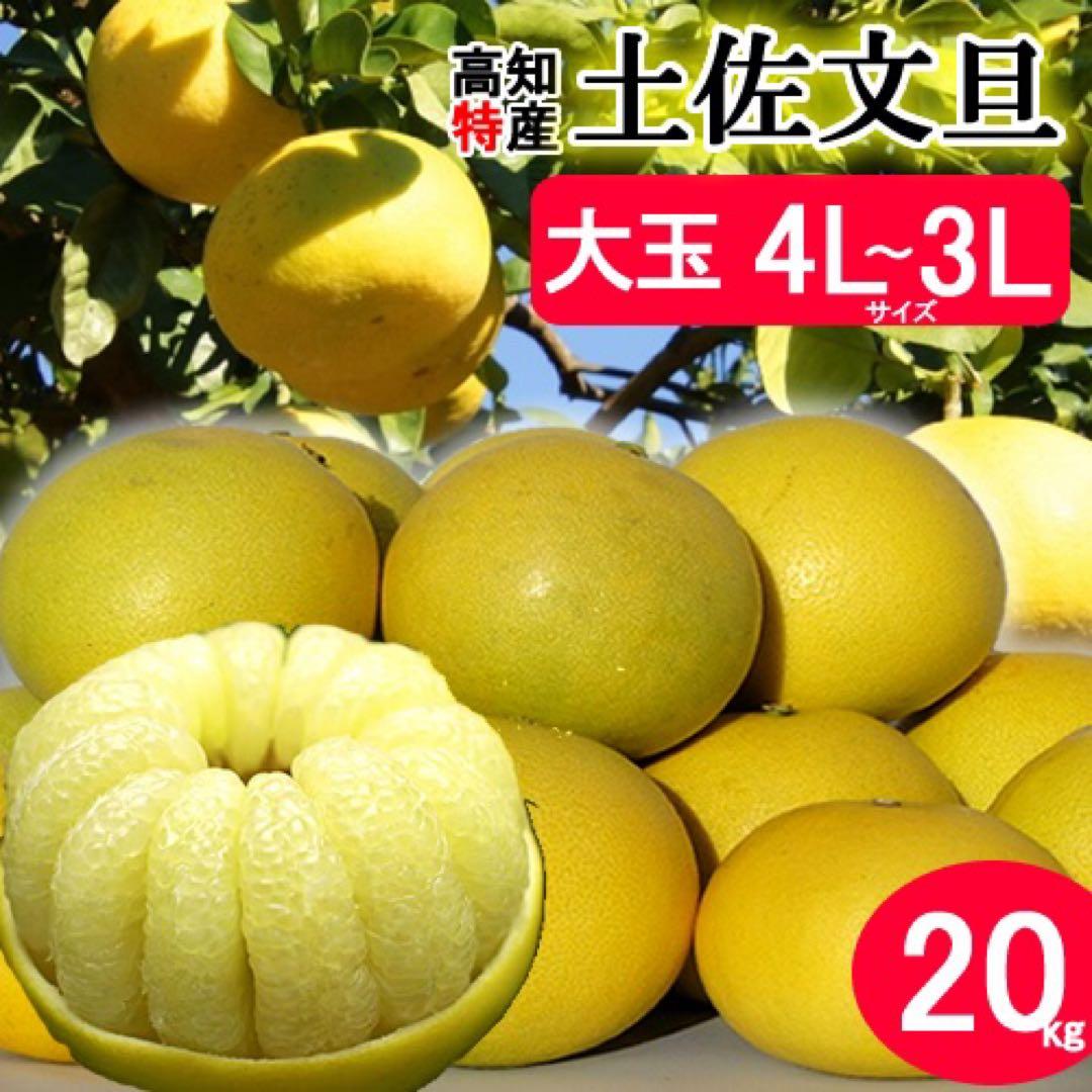大玉限定☆ご家庭用　高知特産土佐文旦4L〜3L 13〜18玉入り約10㎏ 2箱