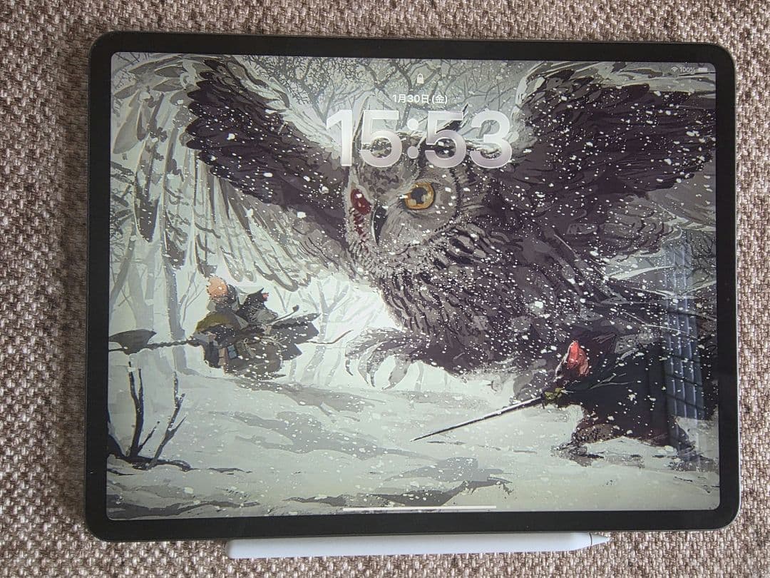 Apple iPad Pro12.9 512G 本体+Apple pencil