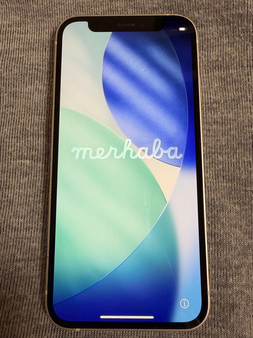 保*！様 iPhone12mini 256GB