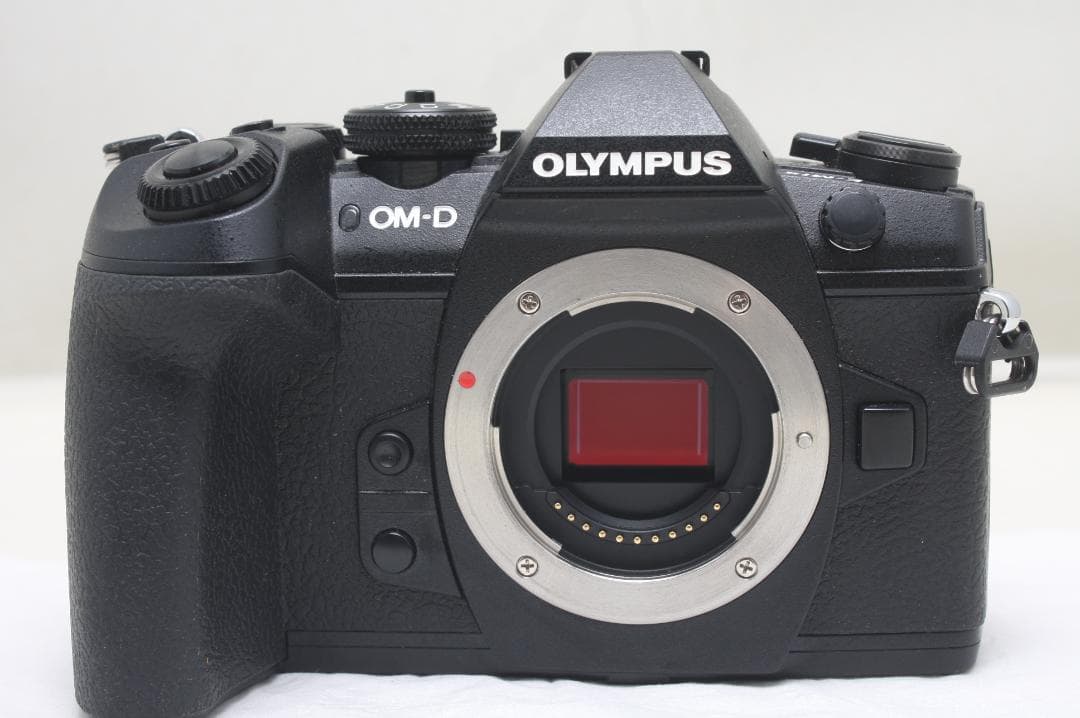 オリンパス OM-D E-M1 MARK II ボディ シャッター数2920回