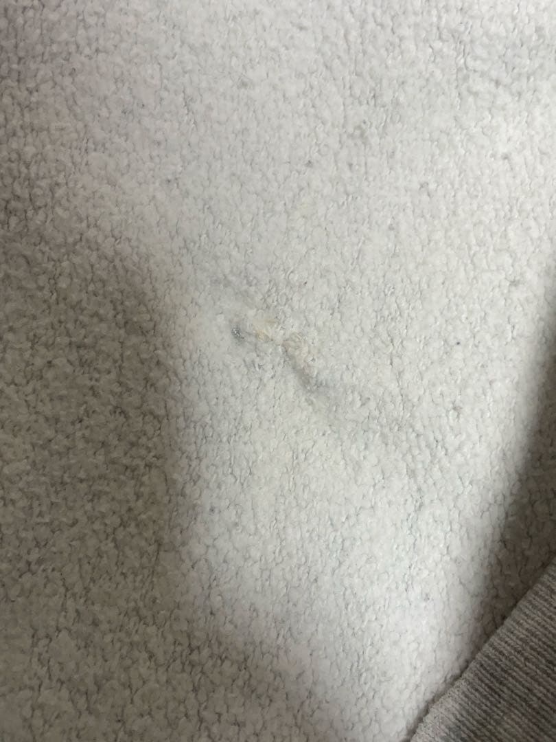 TENTEN！！！ チャンピオン　リバースウェーブ　2XL