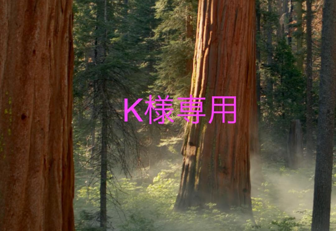 スタイリング剤 K