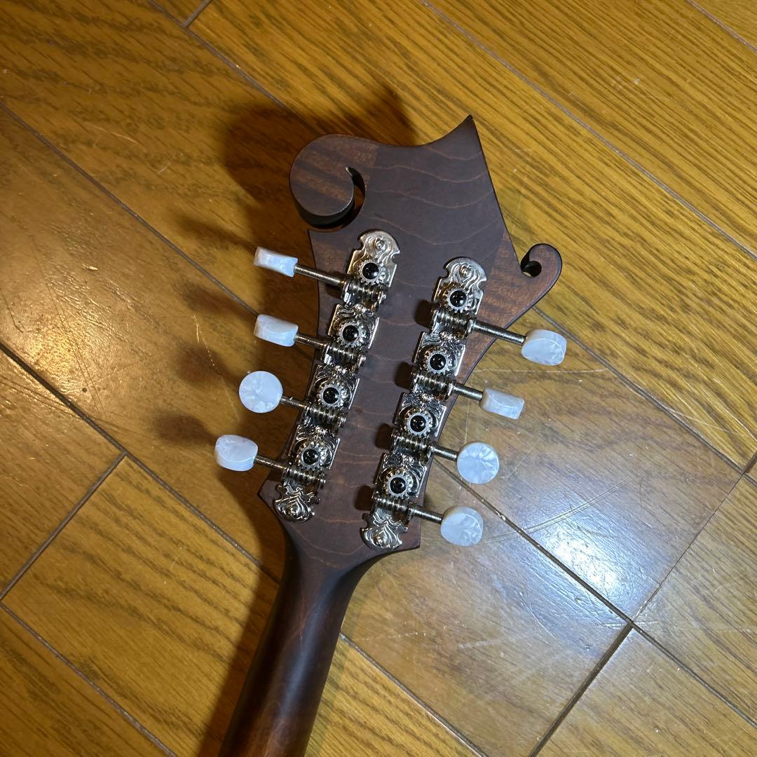 フラットマンドリン　イーストマン　md-315 /CLA ピックアップ付き