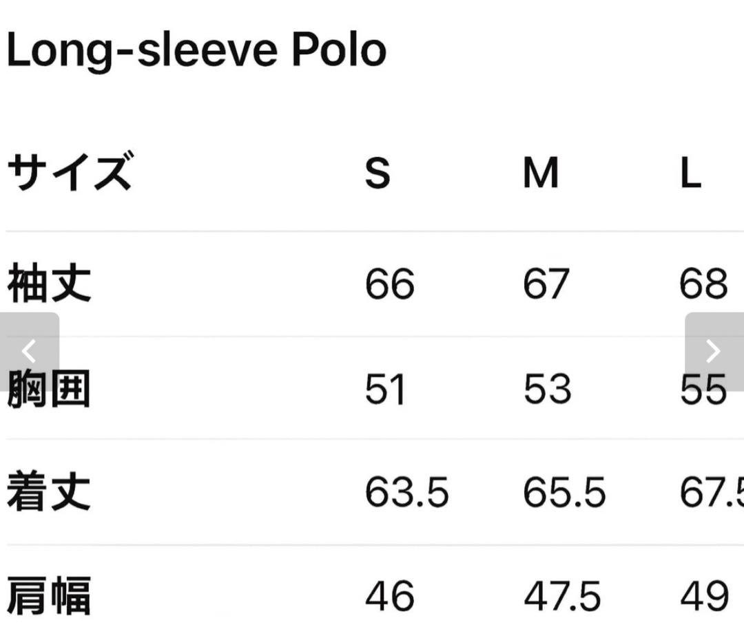 Pedestal ポロシャツ　DAB着用