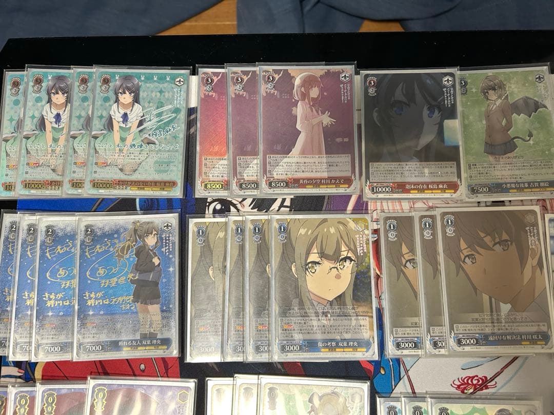 WS ヴァイスシュヴァルツ 青ブタ　4扉4門　準フルレア パーツ　スリーブ付き