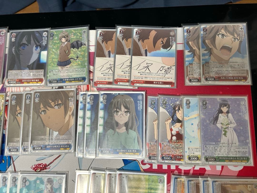 WS ヴァイスシュヴァルツ 青ブタ　4扉4門　準フルレア パーツ　スリーブ付き