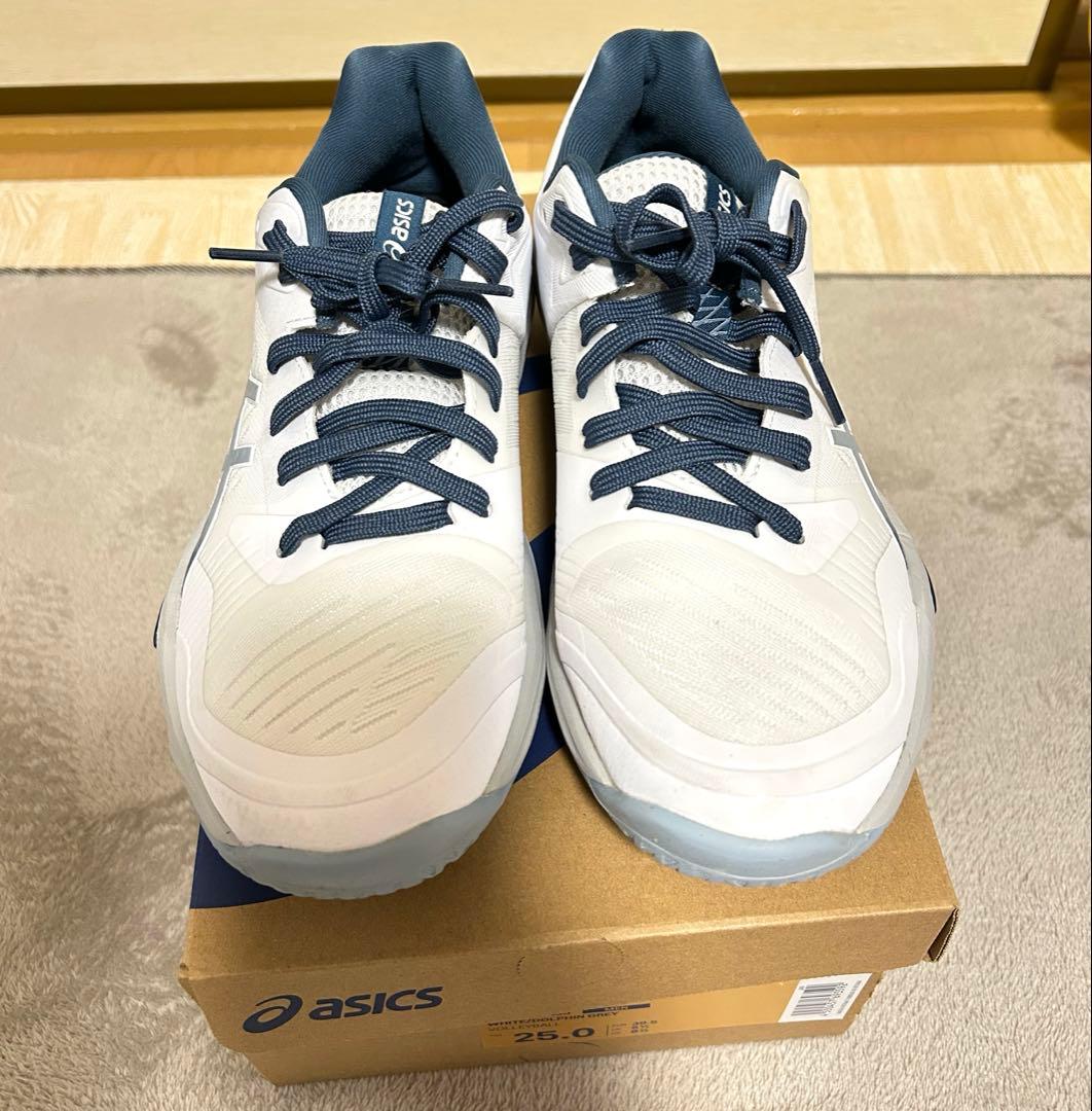 SKY ELITE FF ホワイト/ドルフィングレー 25.0