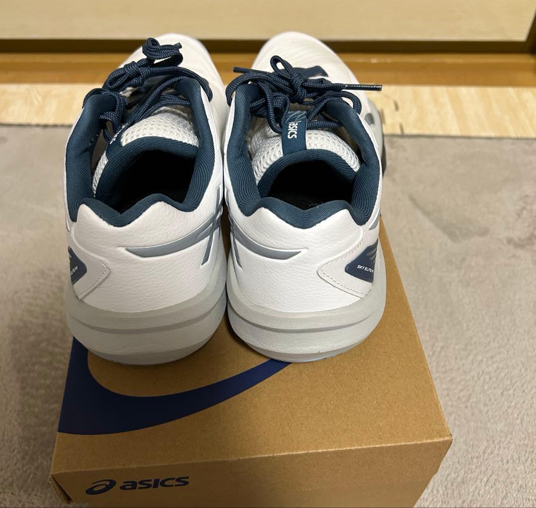 SKY ELITE FF ホワイト/ドルフィングレー 25.0