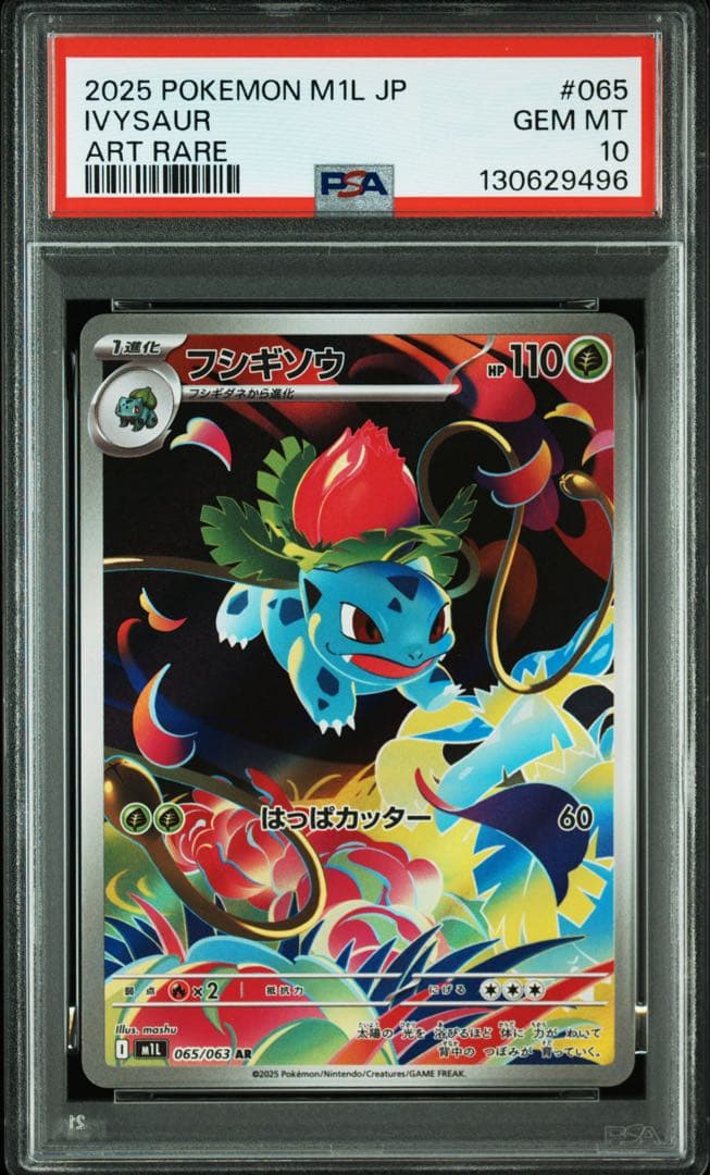 【PSA10連番】ポケモンカード メガフシギバナex 進化ラインセット