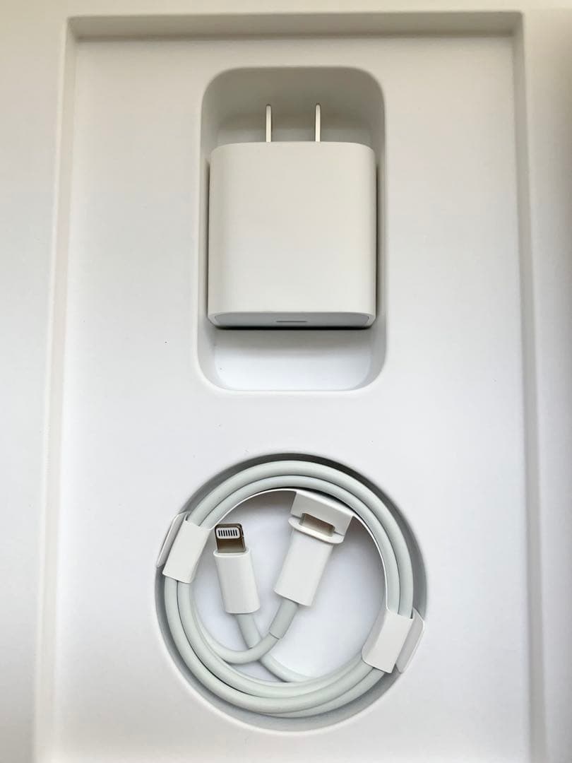 Apple iPad 第9世代 64GB シルバー（Wi-Fiモデル）