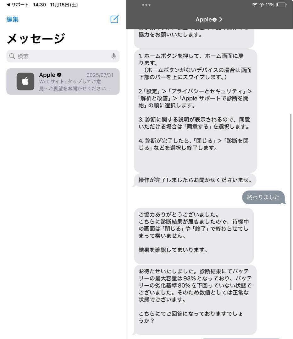 iPad mini 6 フルセット総額１１万越え　アップルペンシル