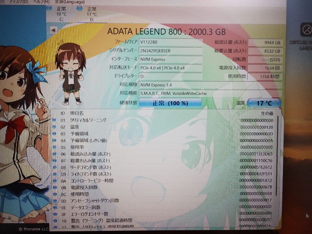 内蔵型SSD ADATA LEGEND800 2TB M.2 2280 SSD NVMe