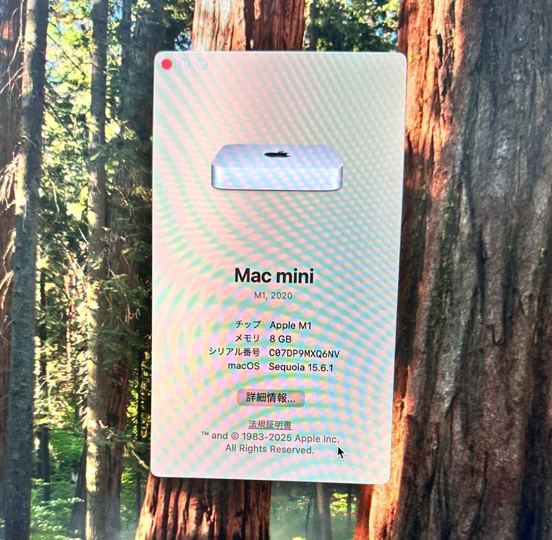 Apple Mac mini 　M1　メモリー８GB 中古品