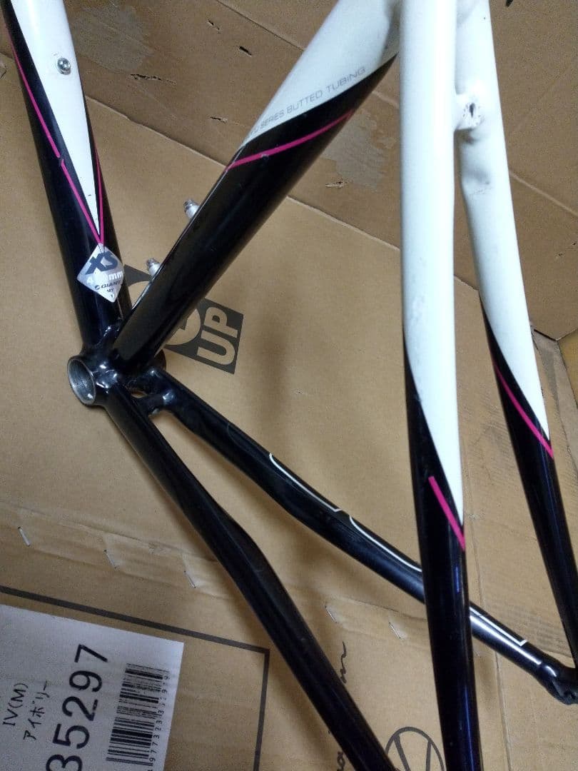 GIANT　 TCR 　ジャイアント　ロードバイク