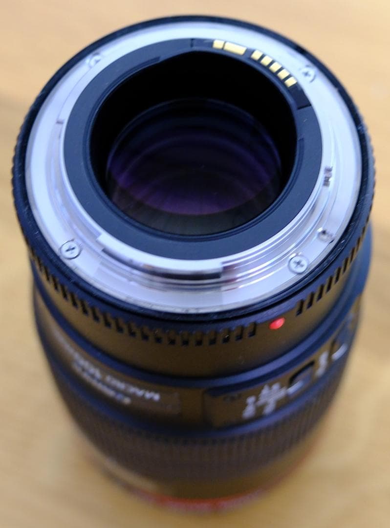 【防湿庫保管】【美品【プロテクト】EF100mm F2.8Lマクロ IS USM